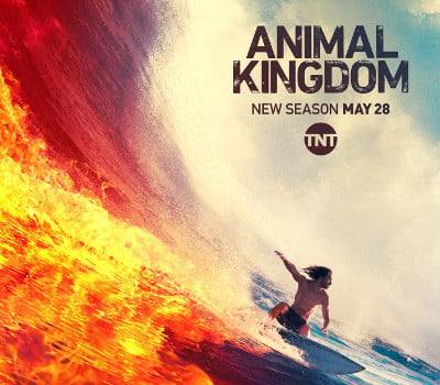 How To Watch Animal Kingdom Online Without Cable Live Streams