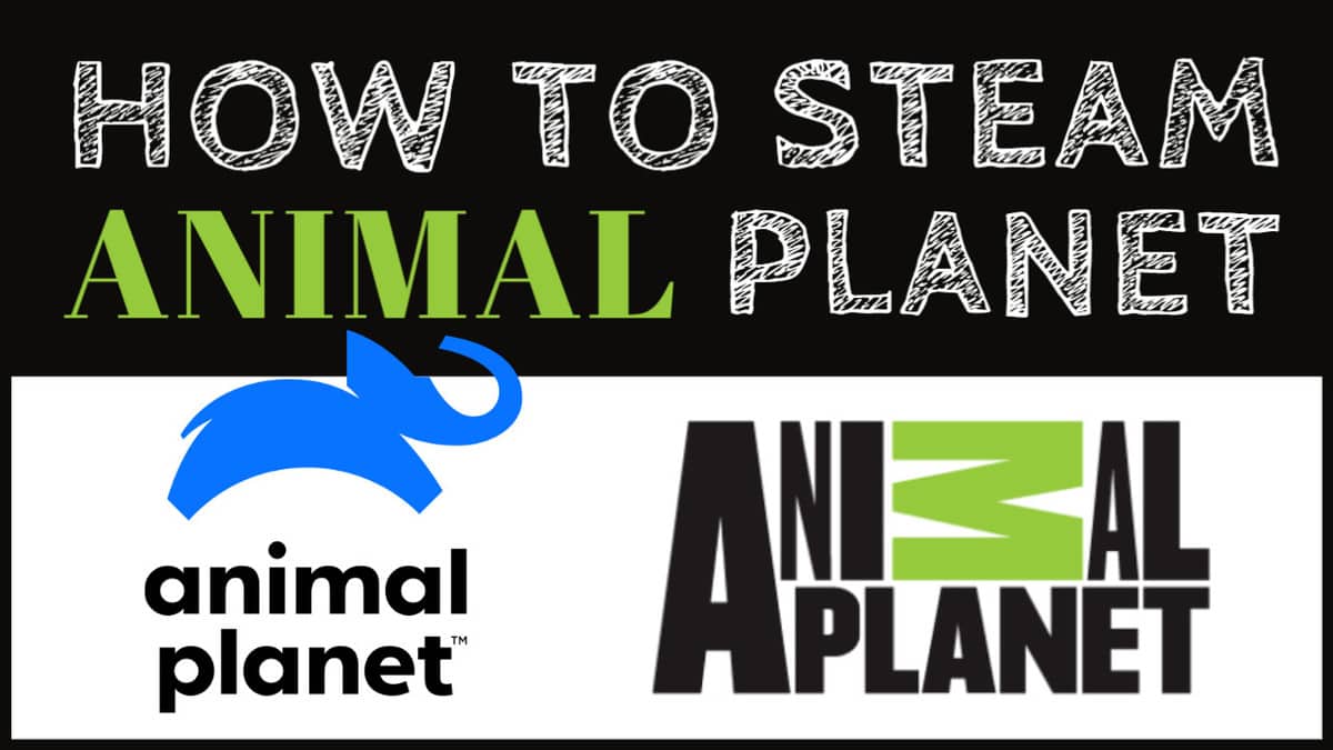 How to Watch Animal Planet Live Without Cable: (2023 GUIDE)